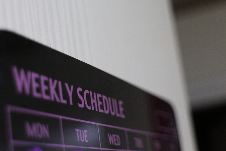 weekly schedule board